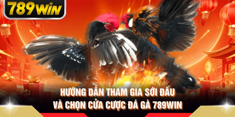 Hướng dẫn tham gia sới đấu và chọn cửa cược đá gà 789WIN 